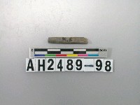 藏品(磨製石針)的圖片